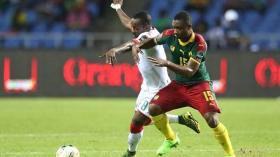 “الأسود الجموحة” و”الخيول” يتقاسمان الفريسة