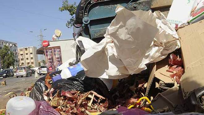 السلطات تحمل المواطنين مسؤولية ظهور “الحشرة الغريبة” بمعسكر