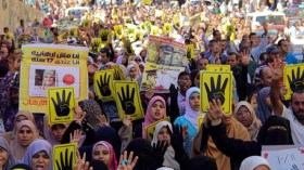 مظاهرات يوم الجمعة ضد ترشح السيسي للرئاسة