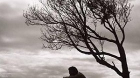 راحة النفوس:‬ كيف‮ ‬أحبّ‮ ‬فتاة‮ ‬في‮ ‬اللّه؟