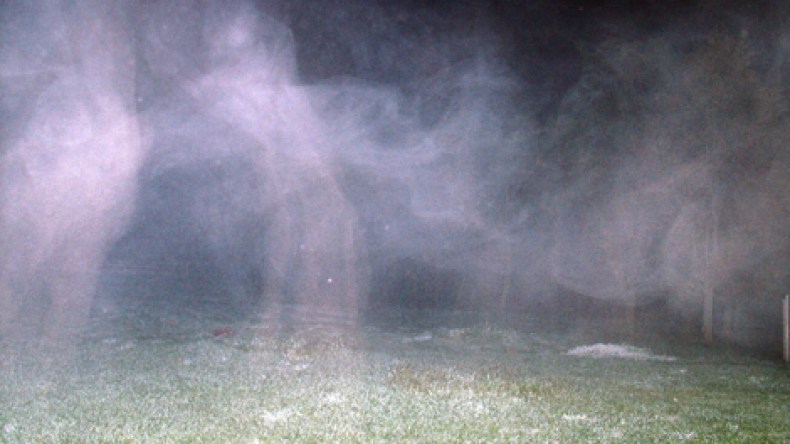 طيف‮ ‬شقيقي‮ ‬المتوفي‮ ‬يلاحقني‮ ‬في‮ ‬كل‮ ‬مكان