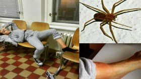 تعّرض الفنانة رجاء مزيان للسعة عنكبوت خطيرة !!