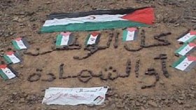 تشكيل هيئة للتضامن مع الشعب الصحراوي وفرض عقوبات على المغرب