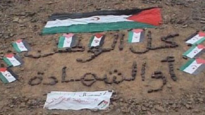 تشكيل هيئة للتضامن مع الشعب الصحراوي وفرض عقوبات على المغرب