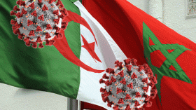 الجزائر تعلن تعليق الرحلات الجوية مع المغرب