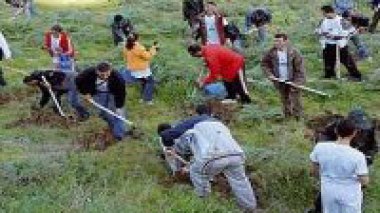 Lancement de la campagne de reboisement 2011-2012