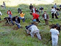 Lancement de la campagne de reboisement 2011-2012