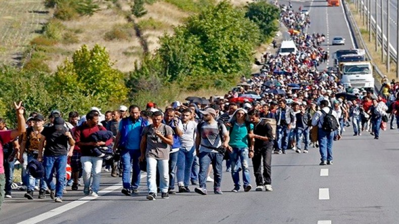 5 ملايين لاجئ يساهمون في تطوّر اقتصاد أوربا