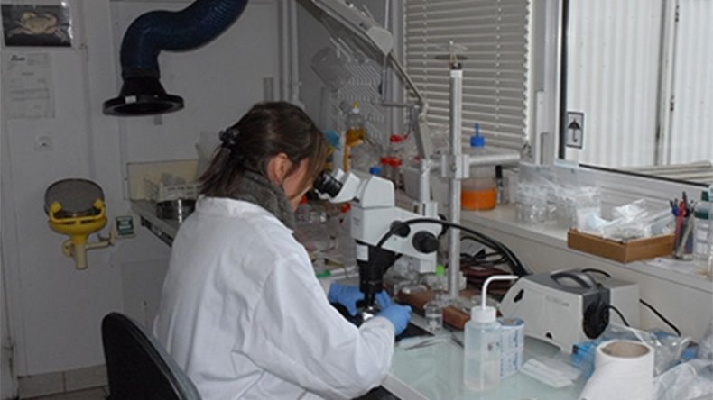 هذه هي المكافآت المالية الخاصة ببرامج البحث الوطني