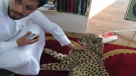 فهد يتجول داخل مسجد بالسعودية