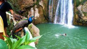 شلالات كفريدة.. مياه متدفقة وخلوة مع الطبيعة