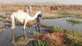 بحيرة لمياه الصرف الصحي تهدد سكان قرية أوهانت بإيليزي