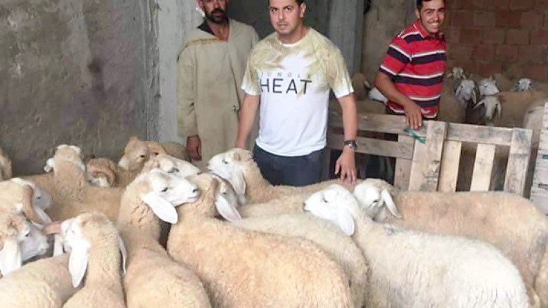 مجمّع “الشروق” ورضا “سيتي 16” في أكبر حملة لاقتناء أضحية العيد