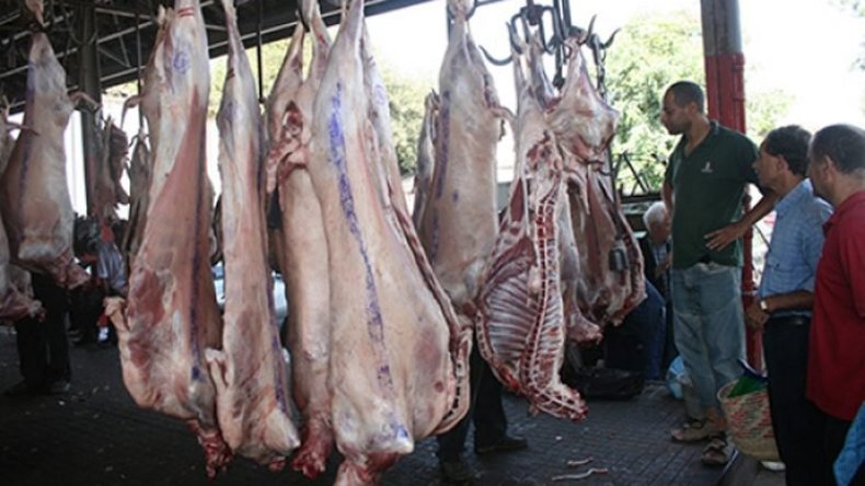 1200 عامل ومتعامل بمذبح الرويسو يحتجون ويحذرون