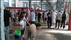 “طوارئ وسط العائلات بعد غلق مذبح الرويسو”