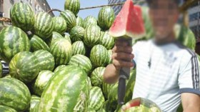 احذروا “الدلاع” المعروض تحت الشمس