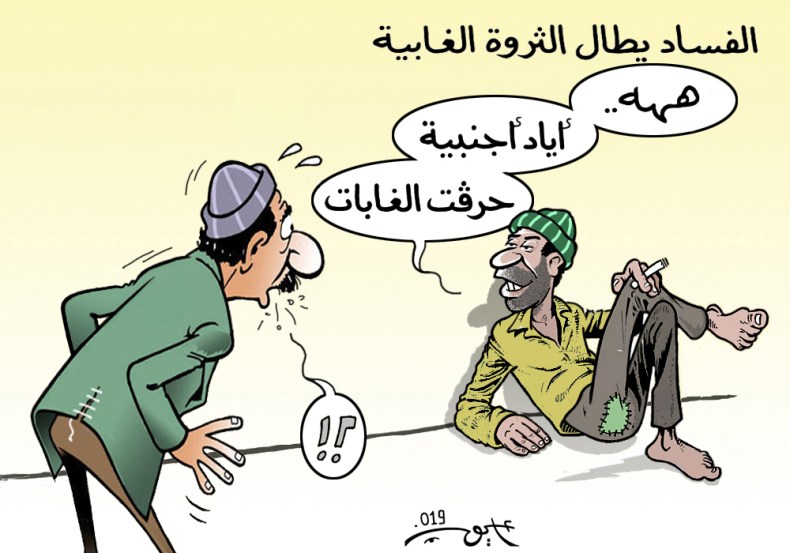 حرائق الغابات