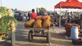 تحول شوارع حاسي مسعود إلى فضاءات تجارية