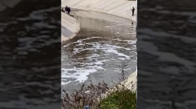 5 سنوات نافذة في حق شاب رمى مناصرا في واد بقسنطينة