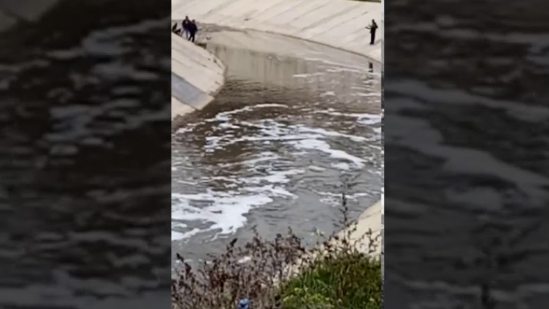 5 سنوات نافذة في حق شاب رمى مناصرا في واد بقسنطينة