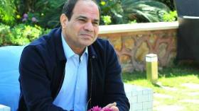 السيسي يأمر بفتح تحقيق في “مذبحة” مباراة الزمالك وإنبي