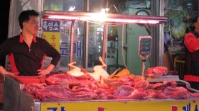 الغرب يحمي الكلب.. ويُعذّب الإنسان!؟