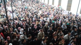 أكثر من 10 آلاف قاريء للشروق أون لاين يرفضون فتوى اللحيدان