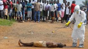 فيروس “إيبولا” يتربّص بفرق سطيف والعلمة والشلف