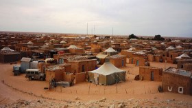 هبة سعودية للاّجئين الصّحراويين ضمن برنامج الغذاء العالمي
