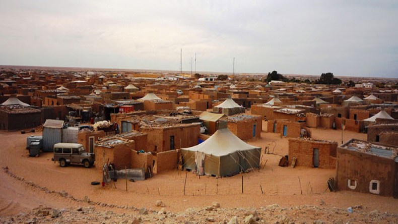 هبة سعودية للاّجئين الصّحراويين ضمن برنامج الغذاء العالمي