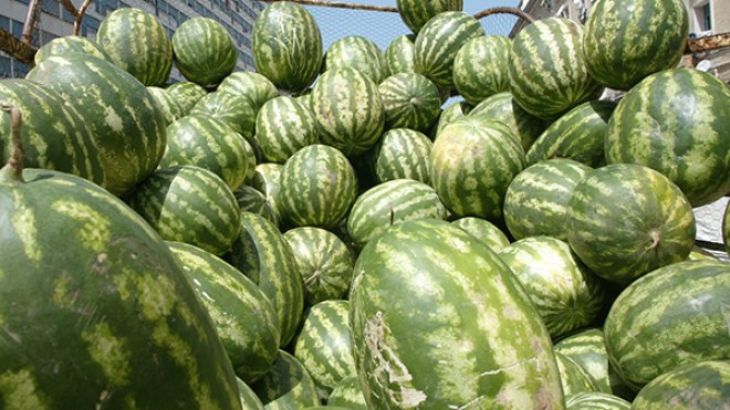 ارتفاع قياسي مرتقب لأسعار “الدلاع” قبيل رمضان بالوادي