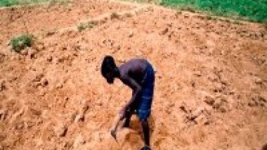 Sécurité alimentaire et stabilité du Sahel menacées par les conditions climatiques