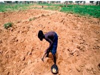 Sécurité alimentaire et stabilité du Sahel menacées par les conditions climatiques