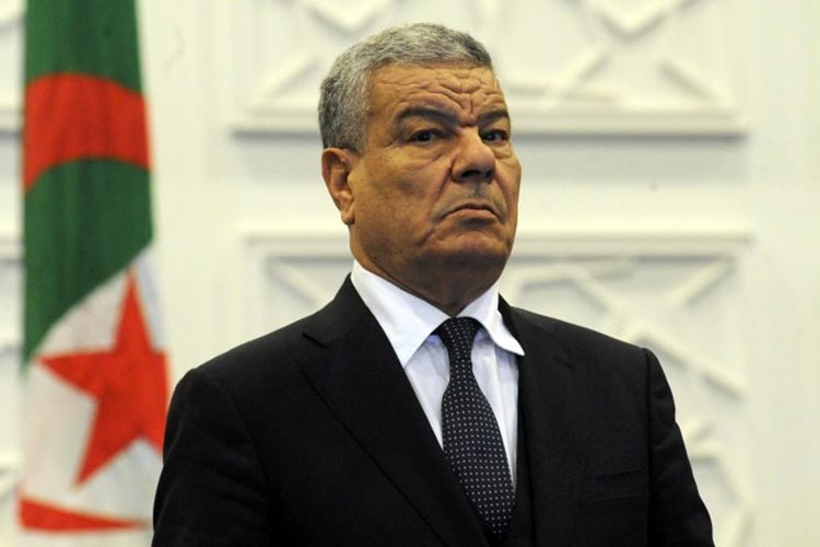 FLN leader: Algeria will start 2016 by new Constitution