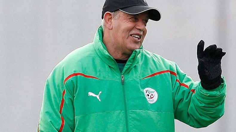 سعدان سابع أفضل مدرب في تاريخ الكرة الإفريقية