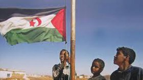 المخزن يلهي الرأي العام بالكذب على الجزائر لدفن المفاوضات مع البوليزاريو!