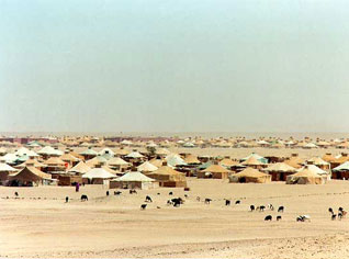 Sahara occidental: “volonté sincère” des parties de poursuivre le dialogue