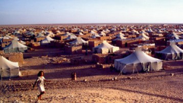 الجهاز المخزني يعمل لإشعال “حرب أهلية” بين الصحراويين بمخيمات تندوف