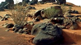 Nouvelles images du Gspc-Aqmi au Sahel : scènes de vie quotidienne