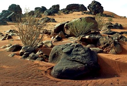 Nouvelles images du Gspc-Aqmi au Sahel : scènes de vie quotidienne