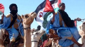 البوليزاريو تنجح في إزاحة “بيتر فان والسوم”