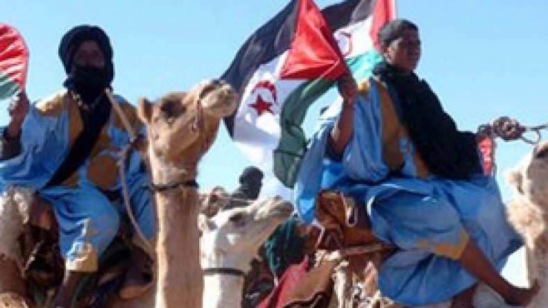 البوليزاريو تنجح في إزاحة “بيتر فان والسوم”