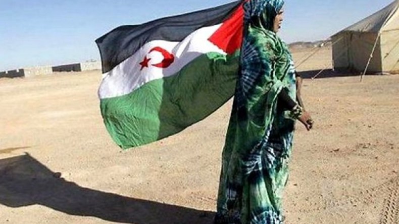 التواجد المغربي في الصحراء احتلال.. والصحراويون رافضون له