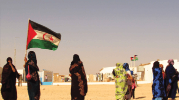 “دجل” مخزني!