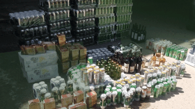 حملة مداهمة واسعة للمخامر والمحشاشات بتمالوس في سكيكدة