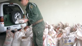Le business du tabac à Sétif