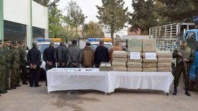 20 ألف محكوم عليه في قضايا مخدرات خلال ستة أشهر!