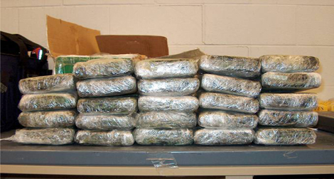 Saisie de 19 quintaux de résine de cannabis à Tlemcen