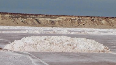 Danish Company halts all its trading activities in occupied Western Sahara