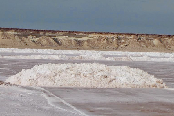 Danish Company halts all its trading activities in occupied Western Sahara